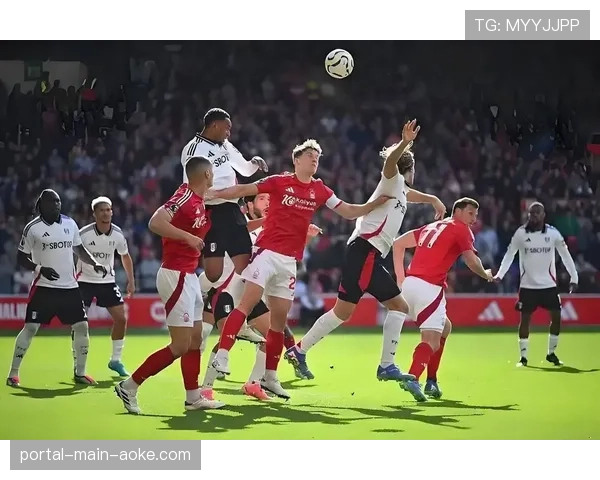 官方比赛报告:斯特拉斯堡vs南特一役共出示7张黄牌